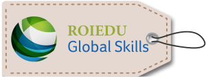 RoiEdu global skills logo